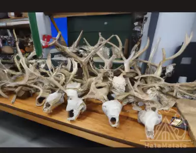 A man from Georgia explains why he paid $31K for the Mardosky living room set from the Mozell estate.