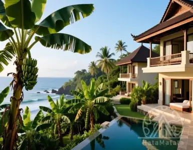 Why Every Investor is Rushing to Bali in 2025?