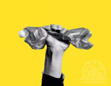 Reduce plastic use at home and protect yourself and the environment.