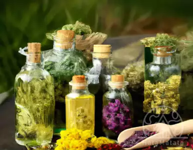 A natural plant for reducing cholesterol, easily accessible and simple to consume in the form of a decoction.