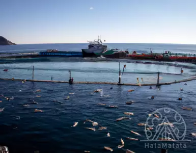 Spain-Japan: a connection you didn't know about