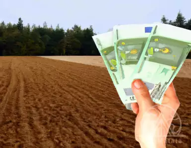 €7,500 per hectare! Agricultural land has become more expensive: where to go now for the cheapest fields in Serbia?