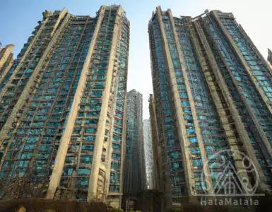 Billions of Chinese can't fill the country's empty homes, says former official.