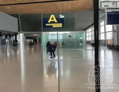 Governance of chambers of commerce and industry: can Corsica be avoided?