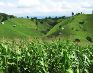 Police are cracking down on illegal land sales to the Chinese