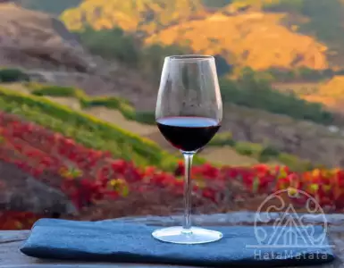 Greek wine - challenges on the road to success