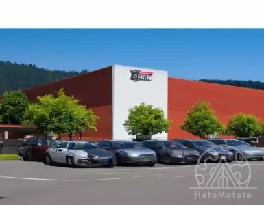 The secret history of Esselunga's birth: Rockefeller's idea, to change Italy