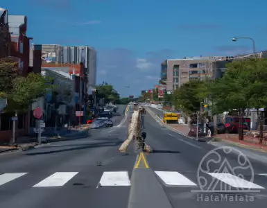 "Morning Notes | ARLnow.com"