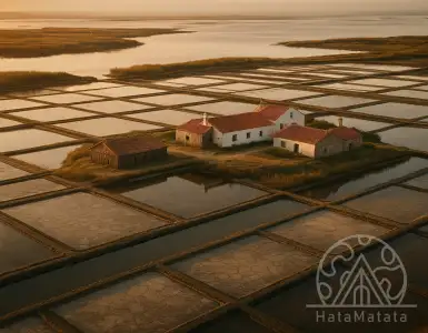 Private island with aquaculture licences goes to auction at €750,000