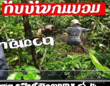 Doom is coming! The thug in the forest has been reduced, rescuing the fallen from the mountain is essential.