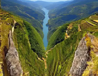 Atlantic Wine Regions Delight with Golden Assortment | FeaturesAtlantic Wine Regions Delight with Golden Assortment