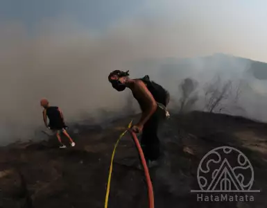 Greece at war with forest fires, warns PM. Flames rage in Corfu and Rhodes.