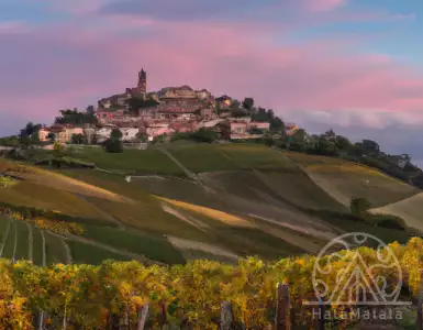 Piedmont wine road trip: organizing and enjoying your holidays and the wines of Italy