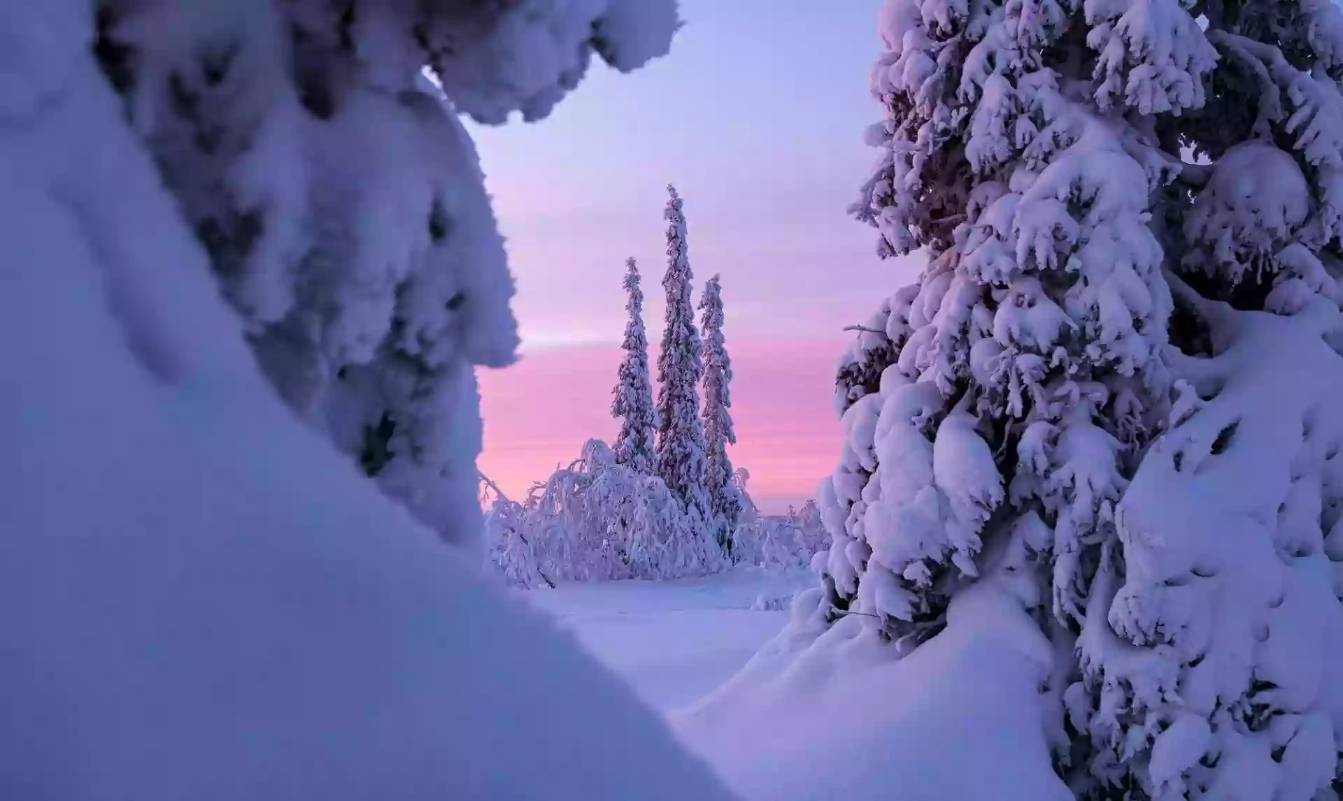 Lapland - 8 important tips for those who dream of living in the "home of Santa Claus"