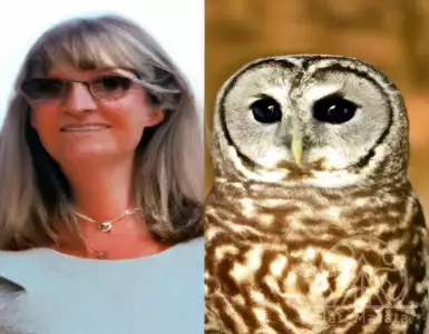 6 Wild Criminal Cases Where An Animal Was Charged