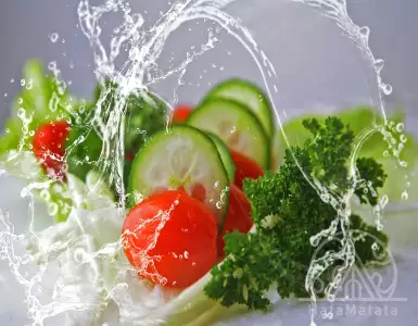 The Discovery of Bulgarian Cuisine: Traditional Dishes of Bulgaria You Should Try