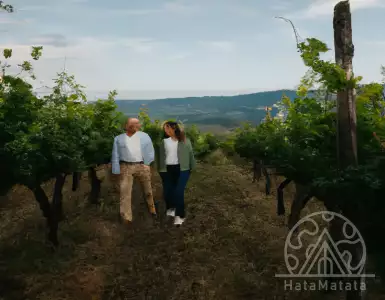 The Italian wine group Le Tenute Del Leone Alato is purchasing the Tuscan estate Duemani.