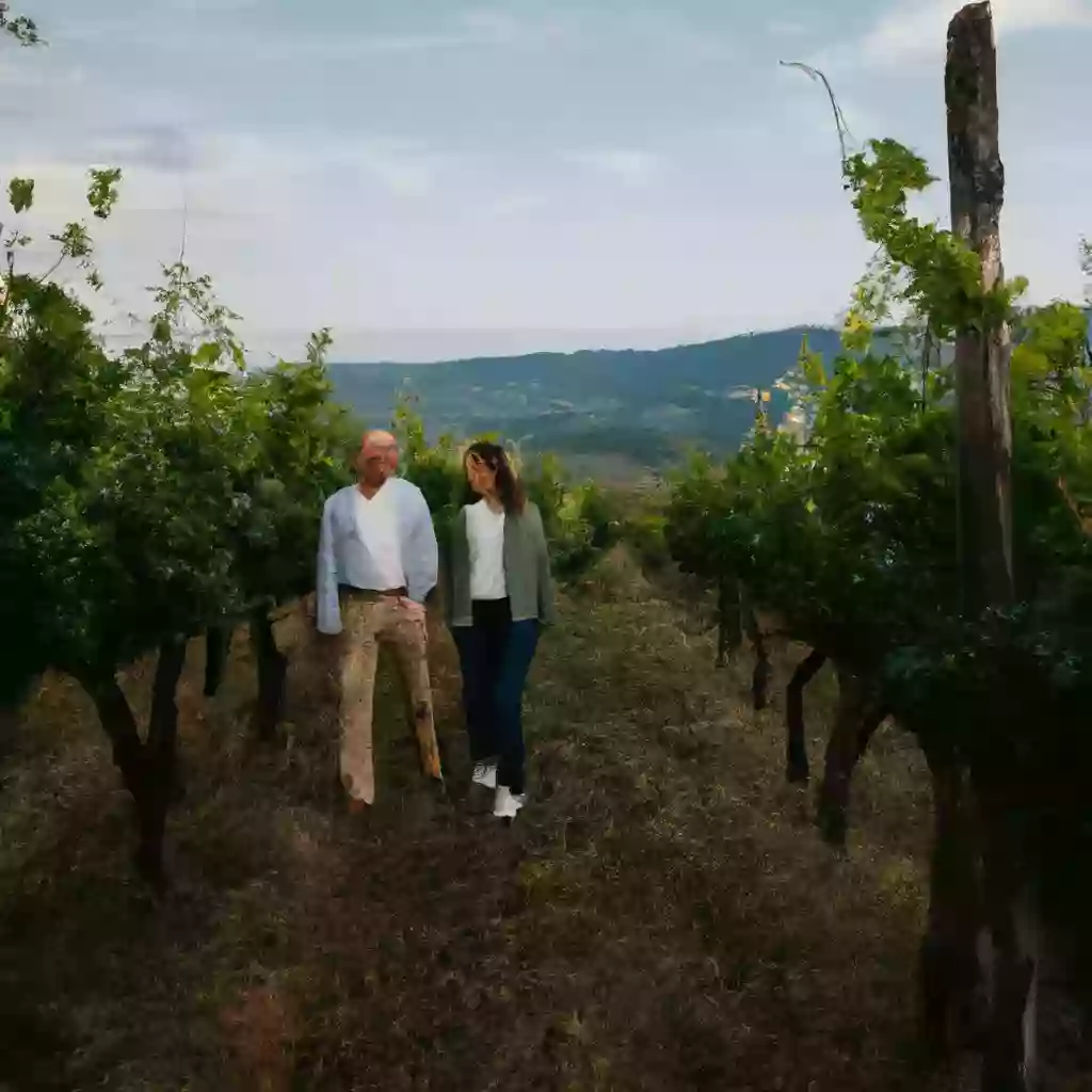 Группа вин Италии Le Tenute Del Leone Alato покупает тосканское имение Duemani
