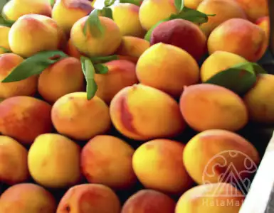 DANGEROUS PEACHES FROM SERBIA HAVE RETURNED TO MONTENEGRO: Magic is unleashed, harmful to health, especially for children!