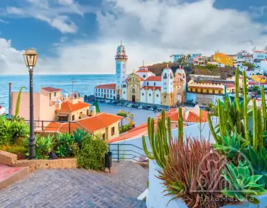 Why Spain is the best option for a winter vacation?