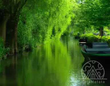 Looking for peace and quiet? Explore France's Green Venice by paddle boat.
