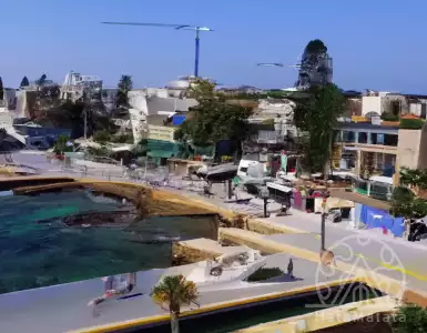 Real estate market: supply and trends