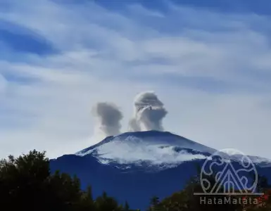 Changing wine trends in Sicily