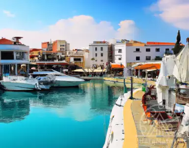 The interaction of market forces affects sales.