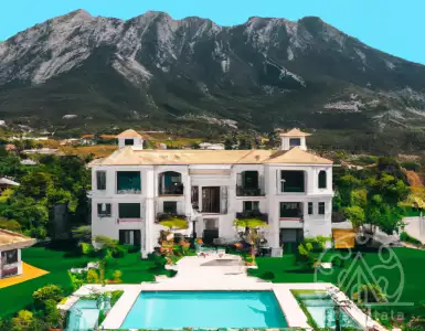 Novak Djokovic and Simon Cowell in Marbella, Spain - Sierra Blanca, celebrity district