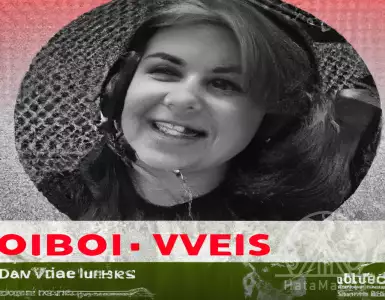 No phenomenon of real estate speculation