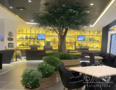 "The first Greece's Coffee Berry store opened in Saudi Arabia."