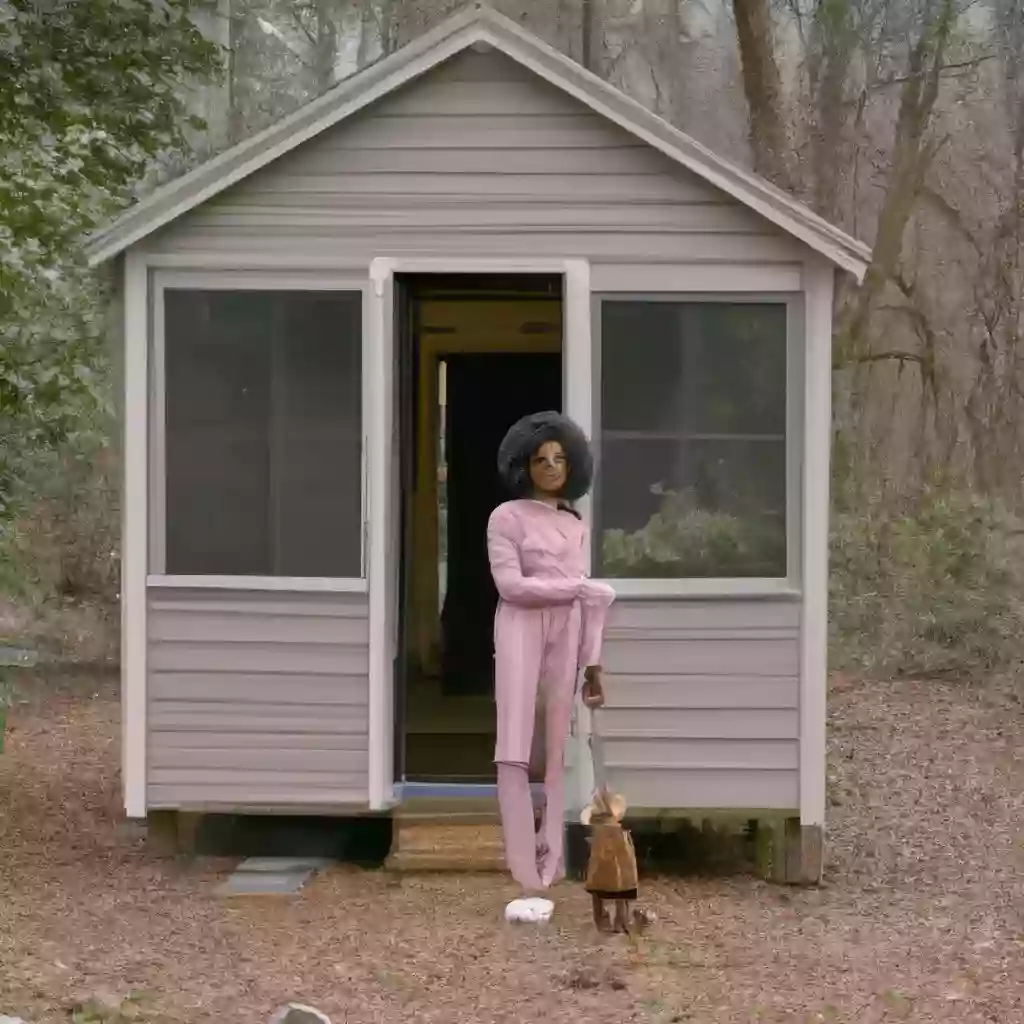 26-летняя женщина живет в своем роскошном маленьком доме, построенном за $35,000 на заднем дворе - посмотрите внутри!