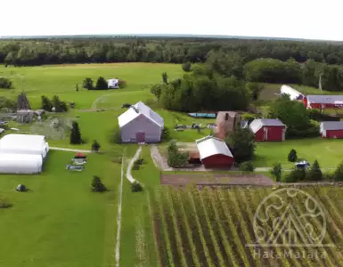 White Hood Winery: The Taste of True Door County - Door County Pulse