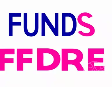 Opinion Archive - FoundationsPeople Spain.