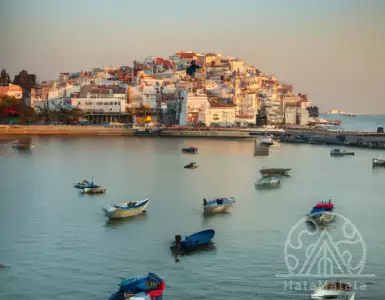 House prices in Portugal are expected to rise by 8.7 % by 2024 regardless of the cancellation of the golden visa program.