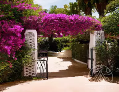 20,000 euros a week: Martin Insaurralde and Sofia Clerici's luxury home in Marbella