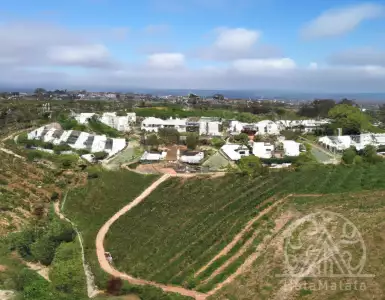 Vacation in the Algarve wineries resort