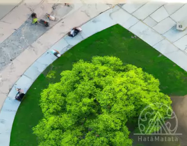 Italy's greenest cities for the urban environment of 2023