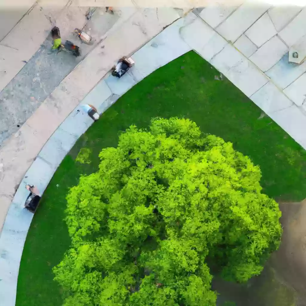 Самые зеленые города Италии для городской среды 2023 года
