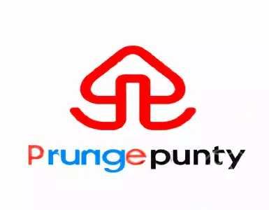 PropertyGuru Group Limited's Q3 2023 financial results report will be released on November 21.