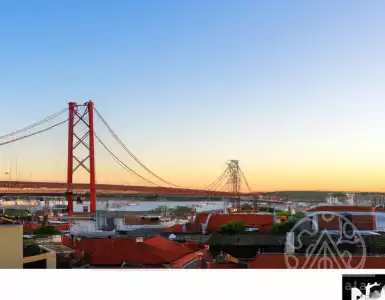 Housing Crisis: Real estate agency and fixed commission to lower the cost of selling