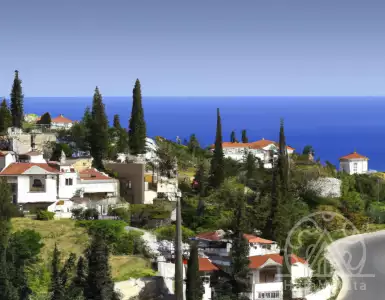 Real estate sales continue to rise