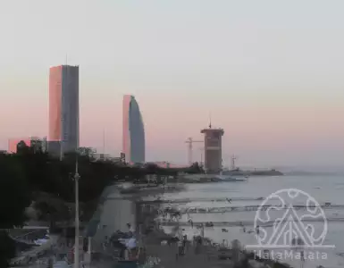 Irregularities in visa residency scheme | Cyprus Gazette