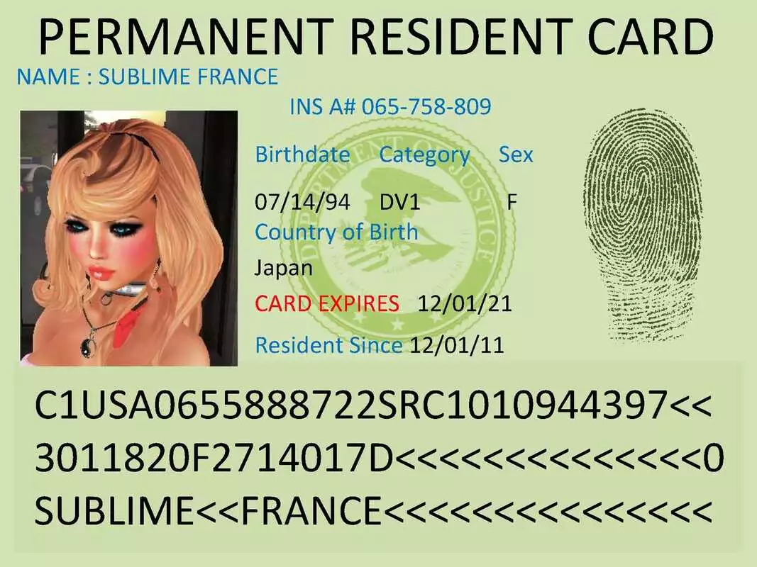 Guide to applying for a green card in France: a step-by-step approach