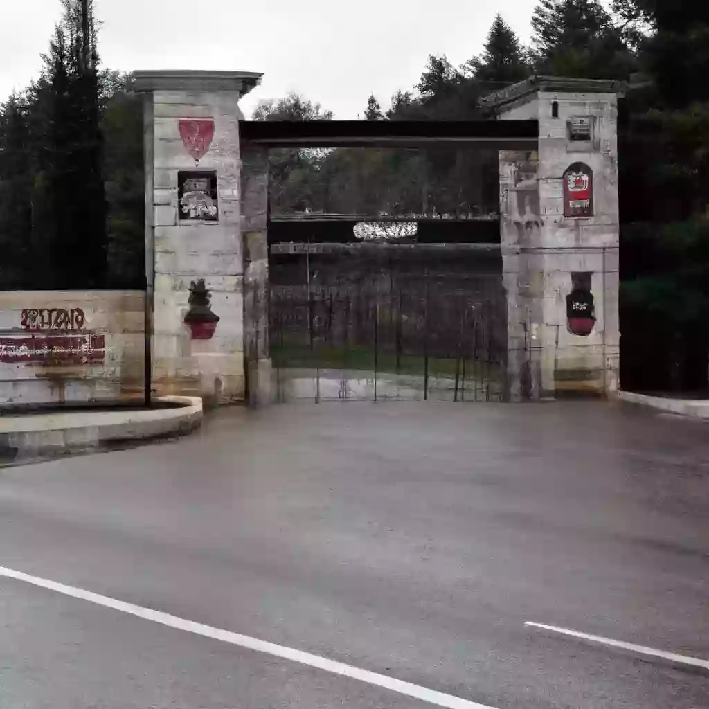 Оружие и Розы: Военно-промышленный комплекс Болгарии расцветает на войне в Украине.