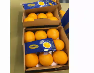 Start of campaign - buying citrus from Valencia, volumes coming in from southern regions