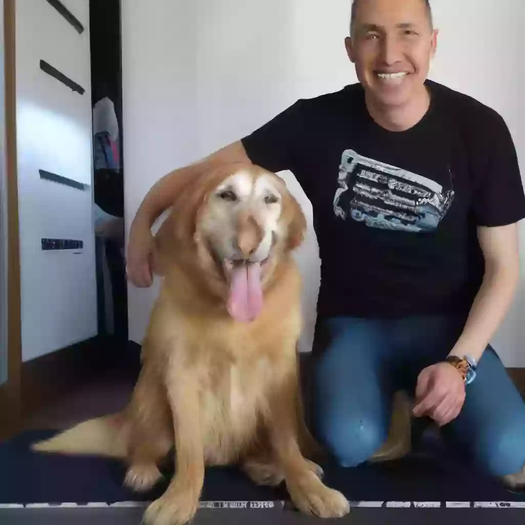 редактораУроки жизни от Боби, старейшей собаки в мире, ушедшей недавно | Письма редактора