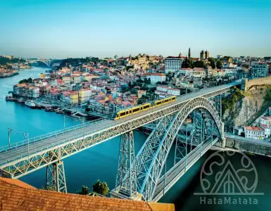 Find out how to obtain a business visa to Portugal.