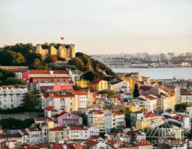 Kill the Golden (Visa) Goose'.