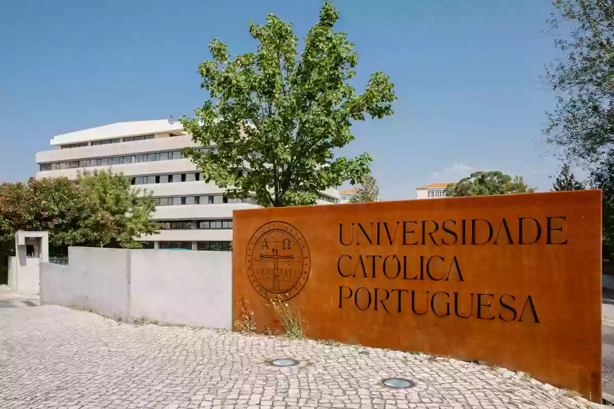 Educational opportunities in Portugal